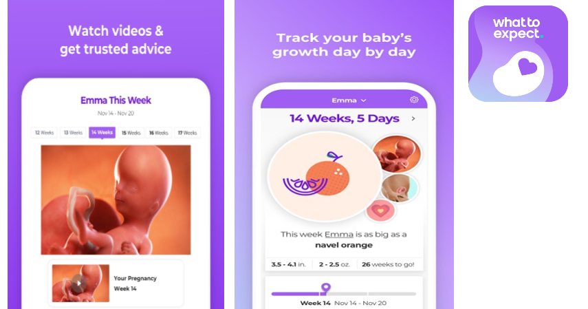 Aplikasi Kehamilan - Aplikasi Kehamilan