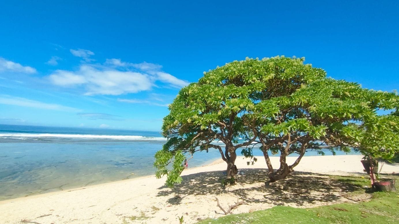 Pantai Karapyak Pangandaran: Surga Tersembunyi dengan Pesona Tenang dan Asri